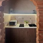 Inn будинок художника Synevyrs'ka Polyana