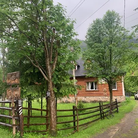 будинок художника Synevyrs'ka Polyana