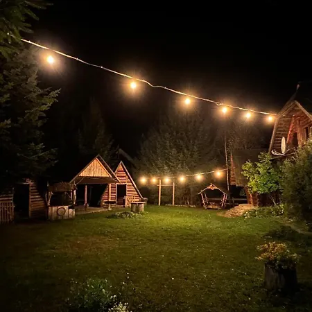 будинок художника * Synevyrs'ka Polyana