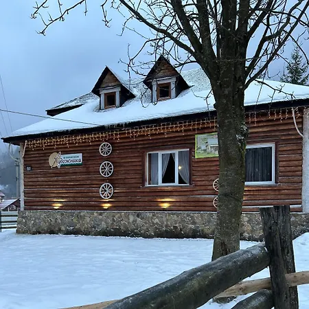будинок художника Inn *