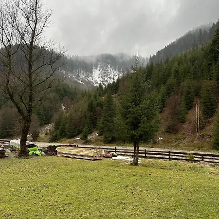 будинок художника *