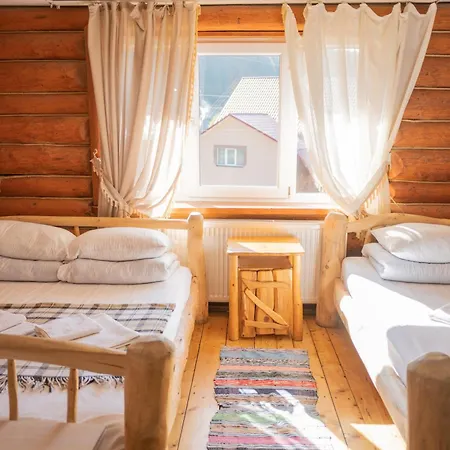 Inn будинок художника Synevyrs'ka Polyana