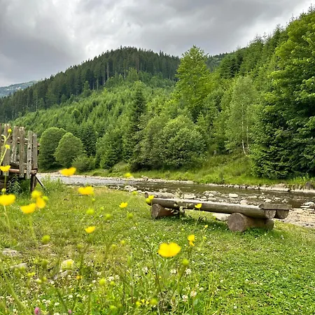 будинок художника Inn Synevyrs'ka Polyana