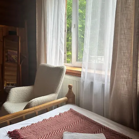 будинок художника Synevyrsʼka Polyana