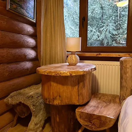 Inn будинок художника Synevyrs'ka Polyana