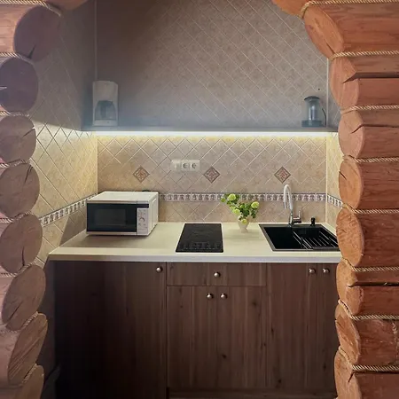 Inn будинок художника Synevyrs'ka Polyana
