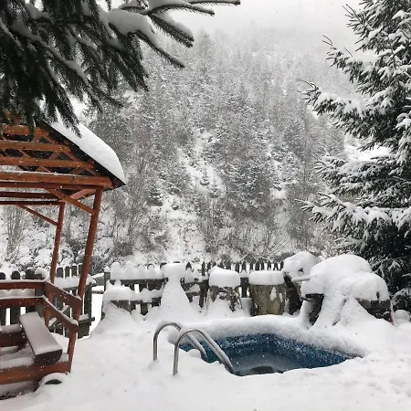 будинок художника