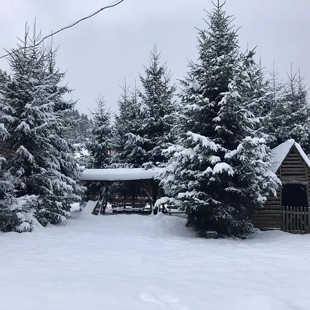 Herberg будинок художника Synevyrsʼka Polyana