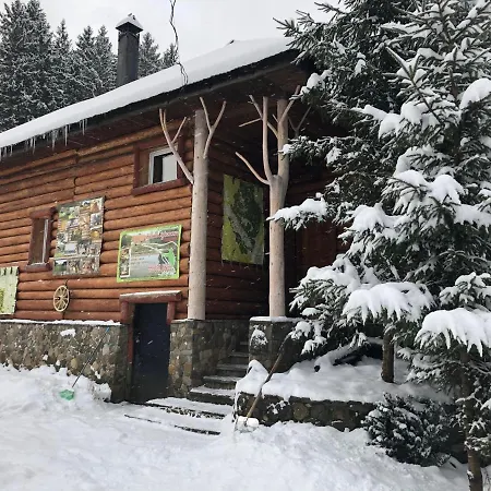 будинок художника