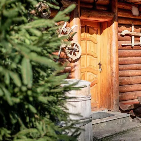 будинок художника Πανδοχείο Synevyrsʼka Polyana