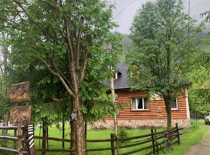 будинок художника Synevyrsʼka Polyana